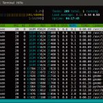 htop - kill Screenshot (Ubuntu 10.4 beta2)